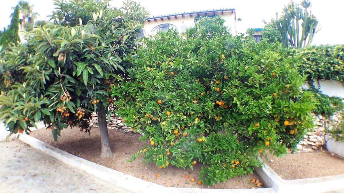 Villa Casa Nuestra